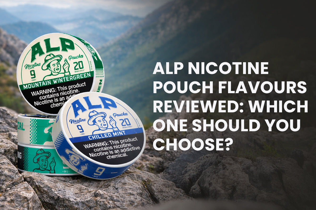 ALP Nicotine Pouch Flavours Reviewed: Which One Should You Choose?