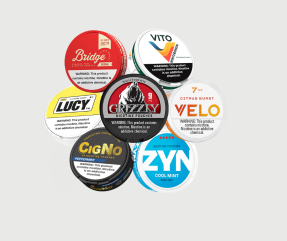 Nicotine Pouch Brands on USANico: What Makes Each One Unique - www.usanico.com