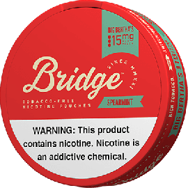 BRIDGE Spearmint 15mg Nicotine Pouches